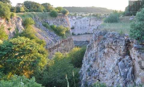 Acquaviva, Gioia e Mellitto: l dove sono nascoste le incontaminate oasi del Wwf